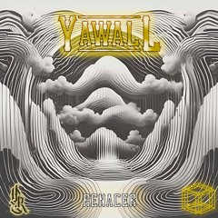 Soul On Fire / Yawall