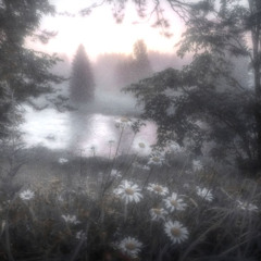 𝚛𝚘𝚝𝚝𝚎𝚗 𝚙𝚑𝚊𝚜𝚎