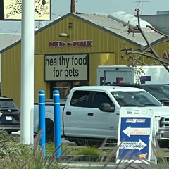 I invented sports like soceer and based ball ft Lil p the pased ball and Lil lions (Prod. andes choclate mints)