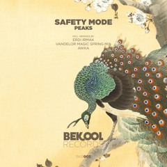 Premiere: Safety Mode - Peaks (Erdi Irmak Remix) [Bekool Records]