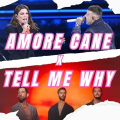 AMORE CANE X TELL ME WHY - DJ ALPY