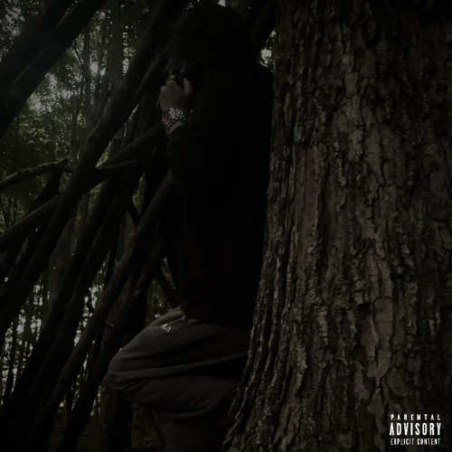 lil Pluto Playlist By J2Faded