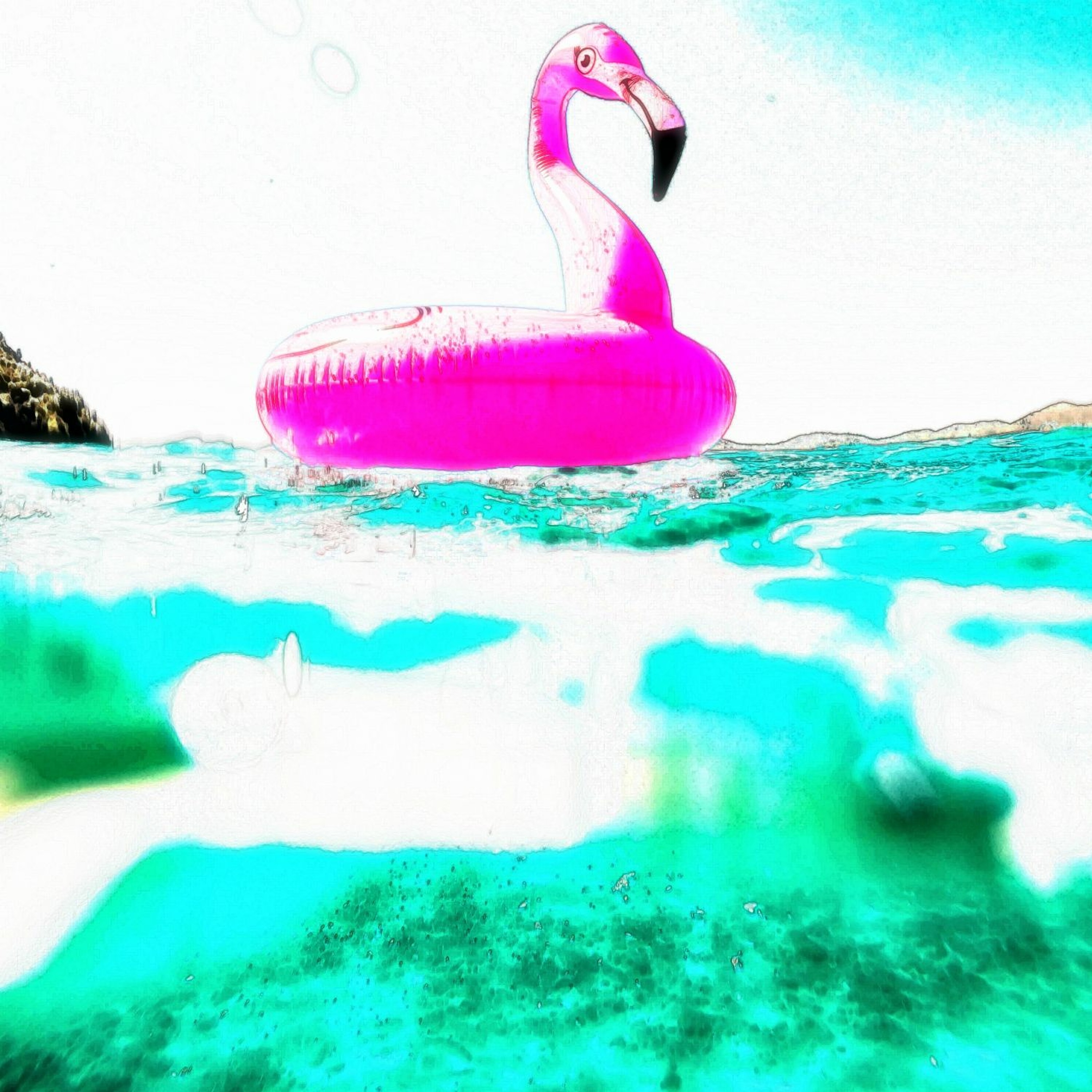 The Flamingo Factor episode artwork