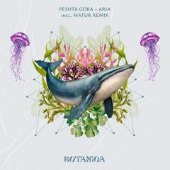 Premiere: Peshta Gora ‒ Aria (Matur Remix) [Botanica]