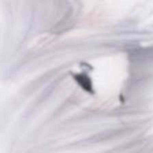 ოპძἶემནპ υ (askenemy)