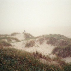 fog