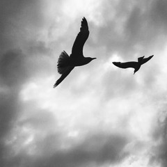 ᴛᴇᴀᴄʜɪɴɢꜱ . ♡