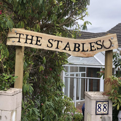 Stables Ball 23'