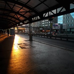 Devrim Ayer - Son Tren