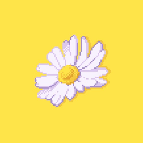 Chamomile