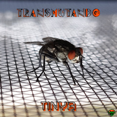 TRANSmutando