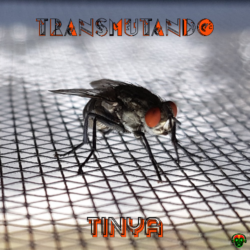 Origenes Intergalacticos