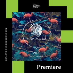 PREMIERE: VieL - Too High [Sirin Music]