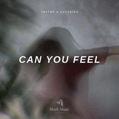 Jaytor & Oceanika - Can You Feel