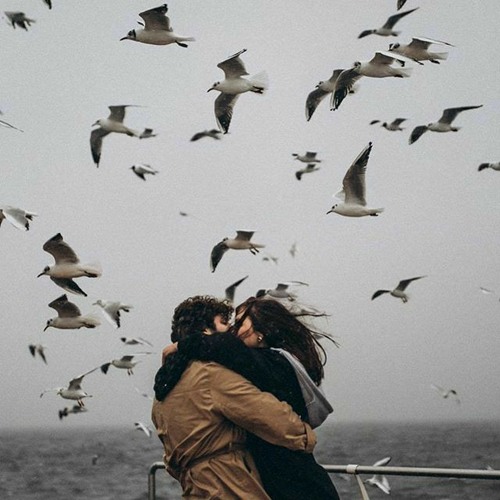 50 оттенков серого crazy-in-love