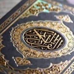 سورة آل عمران بصوت الشيخ وديع اليمني