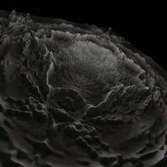 Sentient Number Six + Nûñnë'hï - Chungus Fungus 202bpm