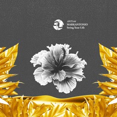 Markantonio - String Your Life