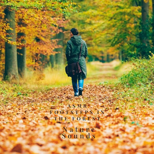 Stream Walk with Me by ASMR Footsteps in the Forest | Listen online for ...