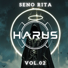 SENO RITA VOL.02 - DJ HARUS