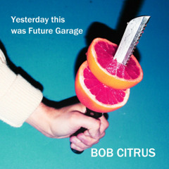 Bob Citrus - Desire (Original Mix)