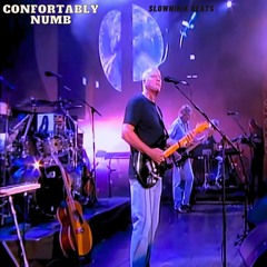 David Gilmour x Slownirik x Pink Floyd Type Beat 2024 - "Comfortably numb" [Rock Instrumental 2024]