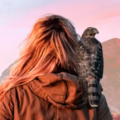 TVORCHI - Falling (Bieneman Bootleg Remix)