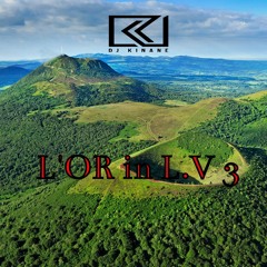 L'OR in L.V 3