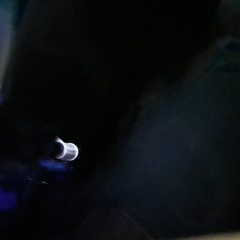 Miss The Rage  -  with NARCISSIST TOUR INTRO/OUTRO