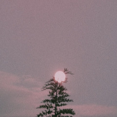 warm - the neighbourhood (slowed)