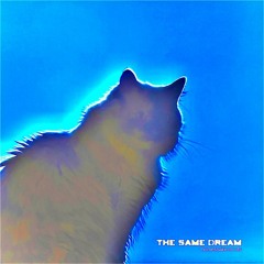 Homeshake - The Same Dream 250924