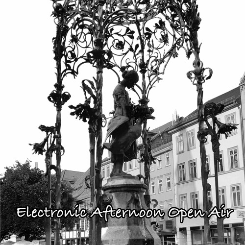 Live @ Electronic Afternoon Open Air