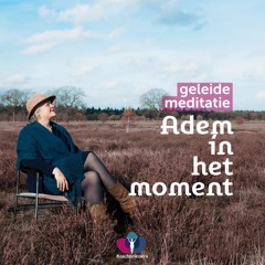 Geleide Oefening Adem in het moment