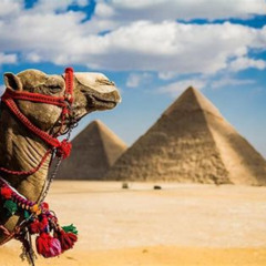 Best 8 Dayscairoalexandriaaswanluxorcruise Abu Simbelfrom Cairo By Plane Tours Review