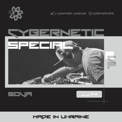 Cybernetic Special __14 by Sova