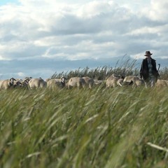 Nookie feat Schäfer Hainrich