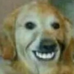 XDDDDDDDDDDDDDDDDDDDDDDDDDDDDDDDDDDDDDDDDDDDDDDDDDDDDDDDDDDDDDDDDDDDDDDDDDDDDDDDDDDDDDDDDDDDDDDDDDDD