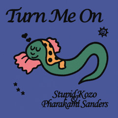 【KSW-63】Turn Me On - Stupid Kozo & Pharakami Sanders
