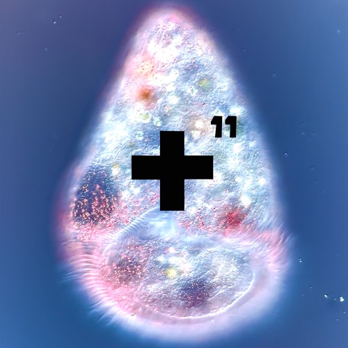 X² CHAPTER II - VULX + DESIRÈE