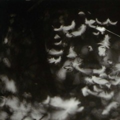 Half Moon Run - Full Circle (Onda Avital Edit)