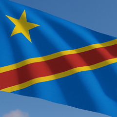 DR Congo - Tozali Na Nzela