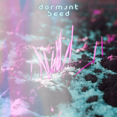 Dormant Seed
