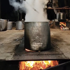 O Centenário - Mestre Conselheiro Luis Mendes - Estrela Dourada - 1/66 - 16/06/2022