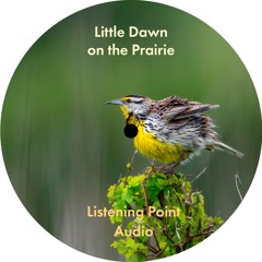 Listening Point Audio - Little Dawn on the Prairie