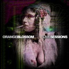 Die Stadt (Blossom Live Sessions)