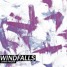 Windfalls - Lewis Frazer