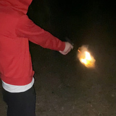 308.