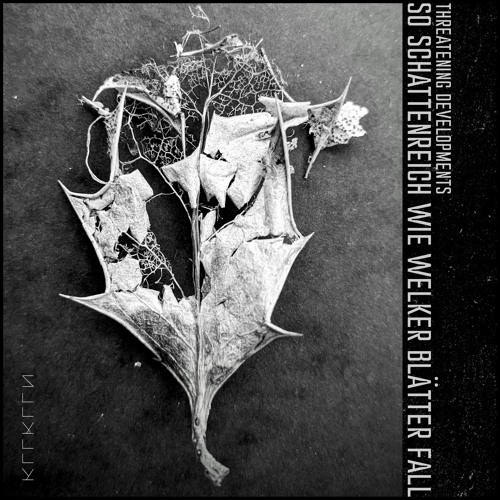 PREMIERE | Threatening Developments - Intet Seksten (Krushak Remix) [Kallkällan]