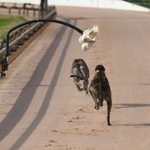 This Punting Life: Ep 1 Glenn’s first bad beat