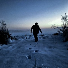 Max Richter - On The Nature Of Daylight (We Used To Be Nocturnal Cover)